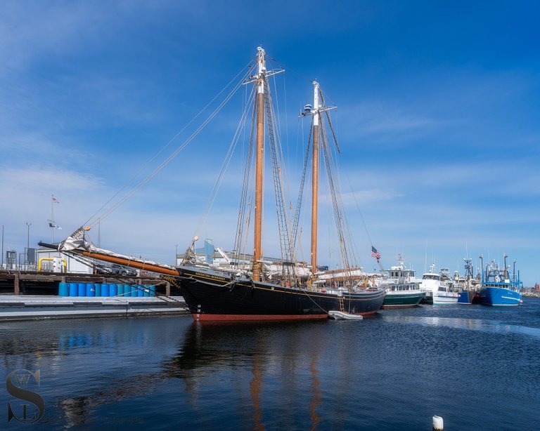 MF Ernestina morrisey.jpg