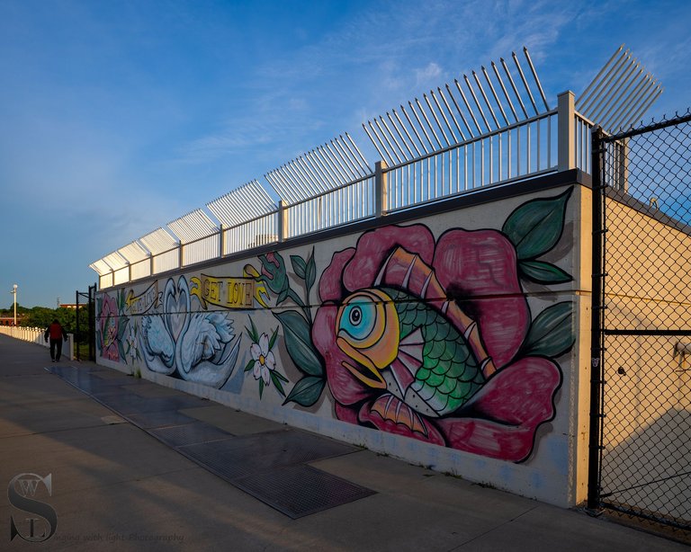 ww cove walk-4.jpg