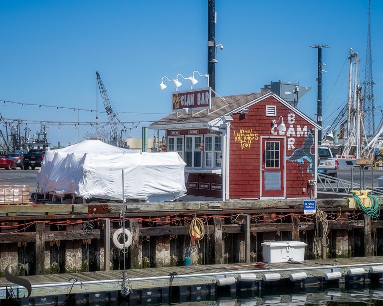 at the port-3.jpg