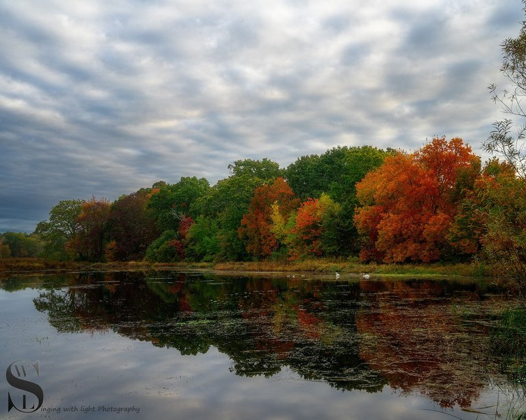 fall colors sawmill-3.jpg