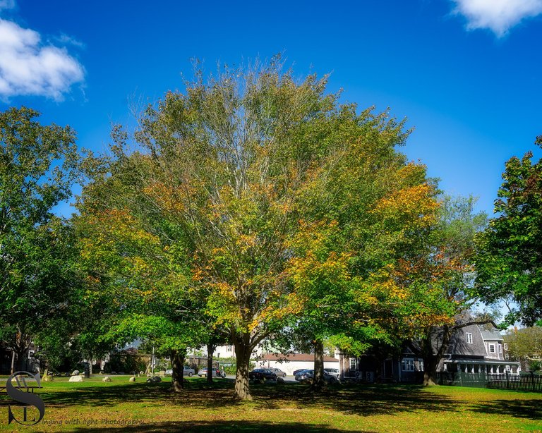 hazelwood park fall colors_-3.jpg