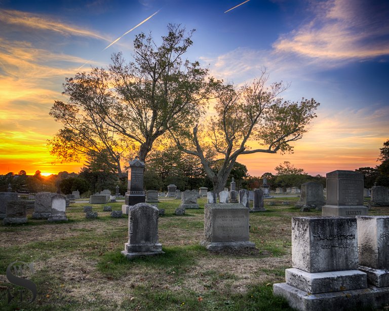 WW Evening walks in Cemetery_3.jpg