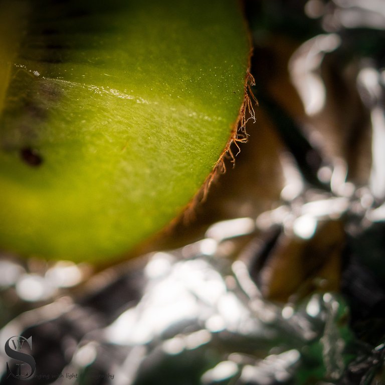 Kiwi fruit Ninja-5.jpg