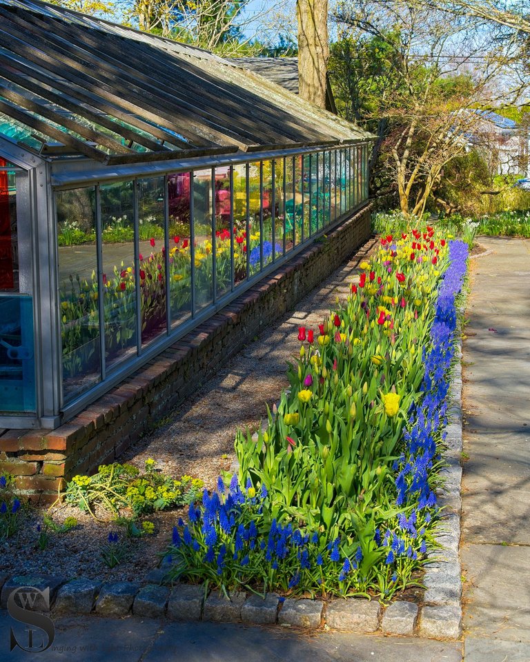 colorful greenhouse haskell gardens-4.jpg