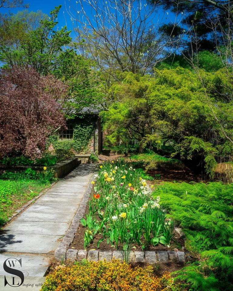 haskell gardens more-7.jpg
