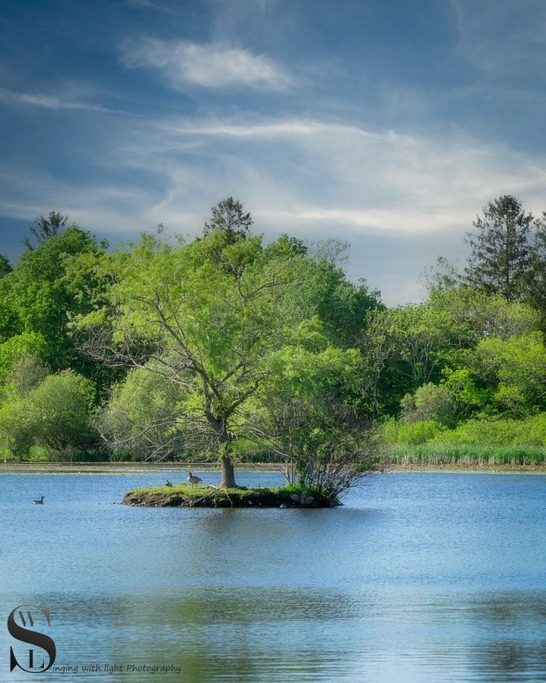 pond at Buttonwood Park-2.jpg