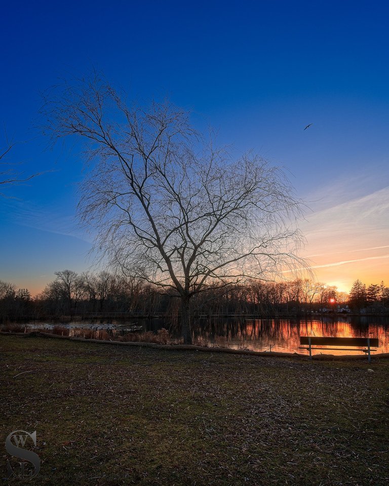 buttonwood sunset-3.jpg