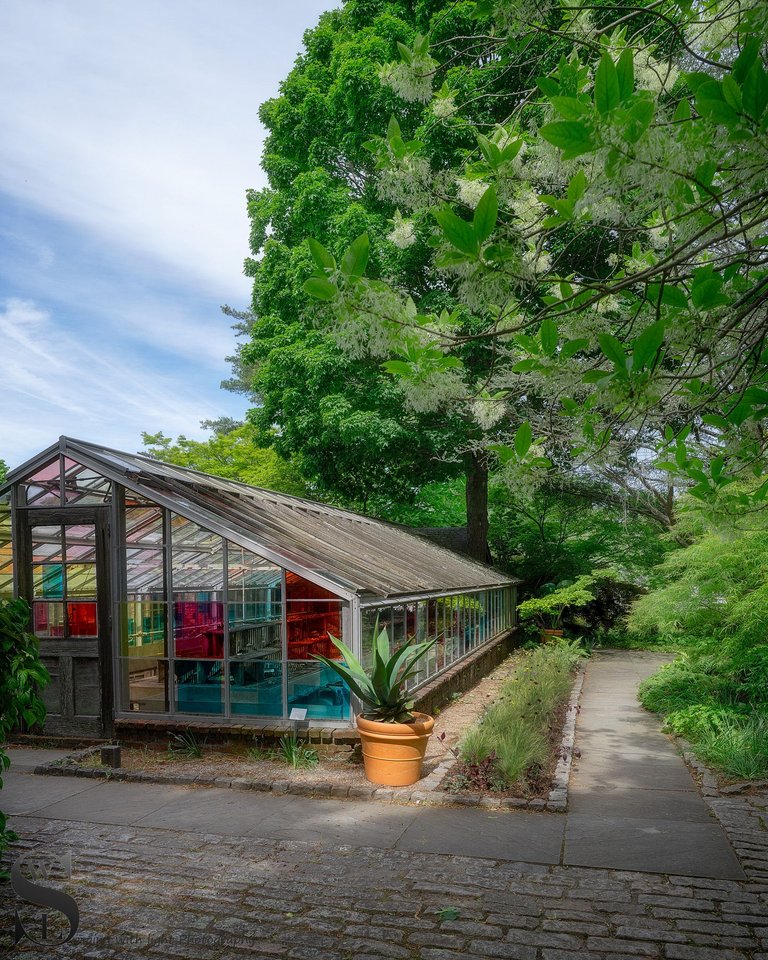 haskell gardens-2.jpg