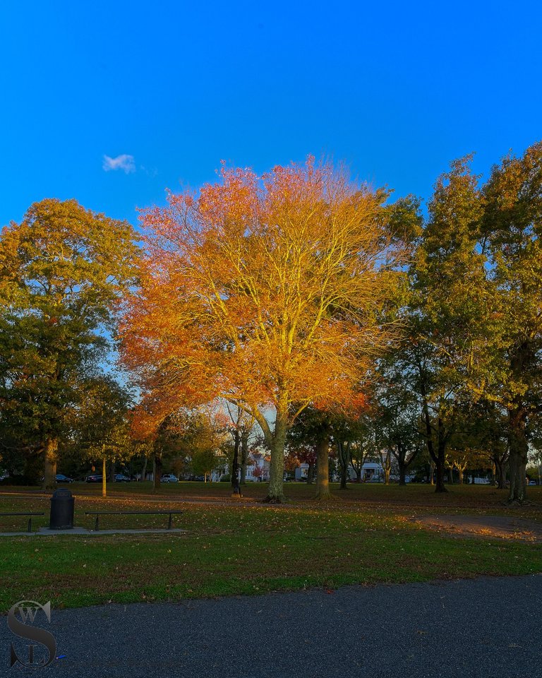 more fall colors-4.jpg