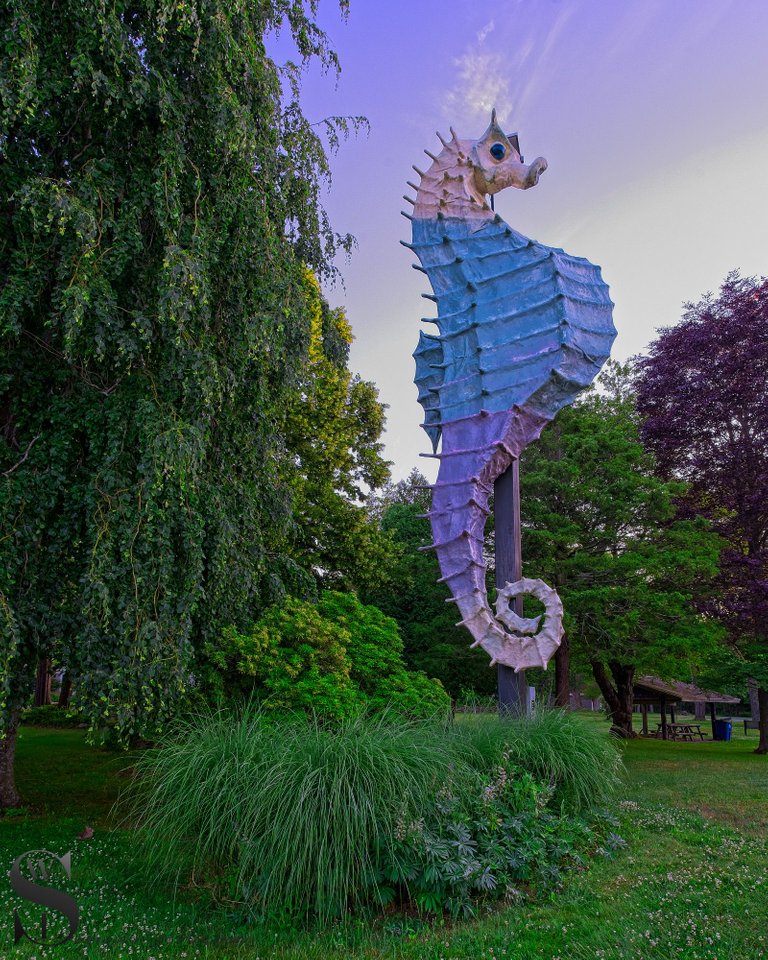 Dunseith gardens and the seahorse.jpg