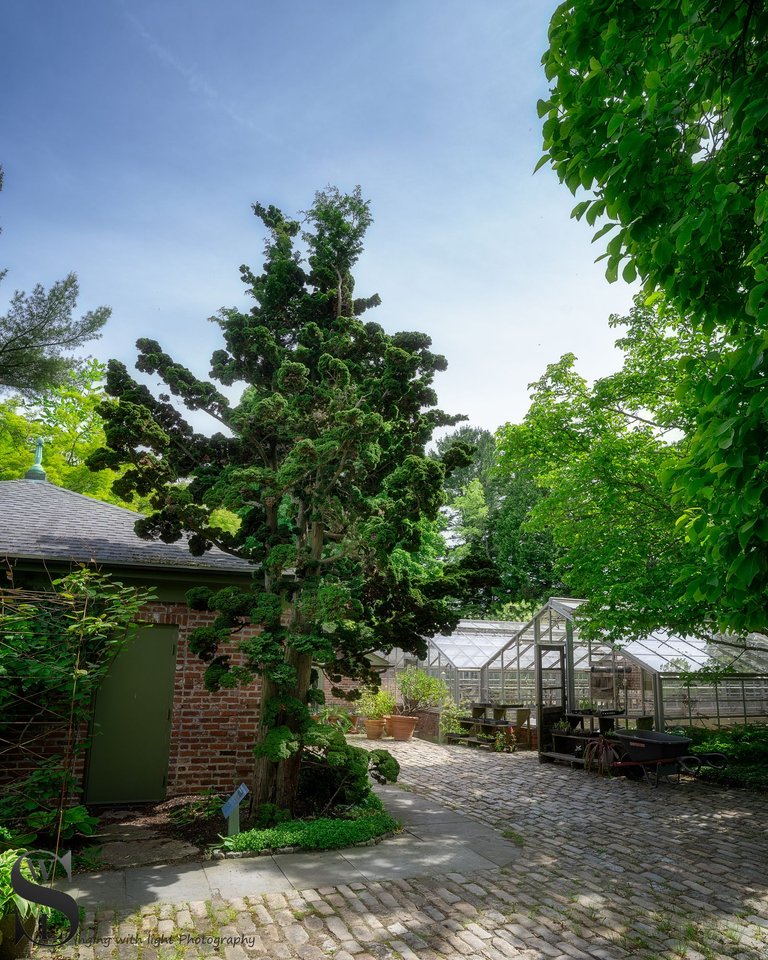 haskell gardens-4.jpg