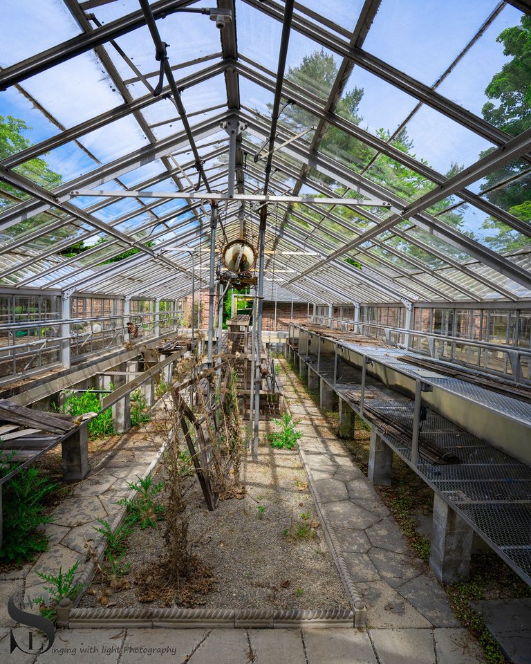 haskell gardens-3.jpg