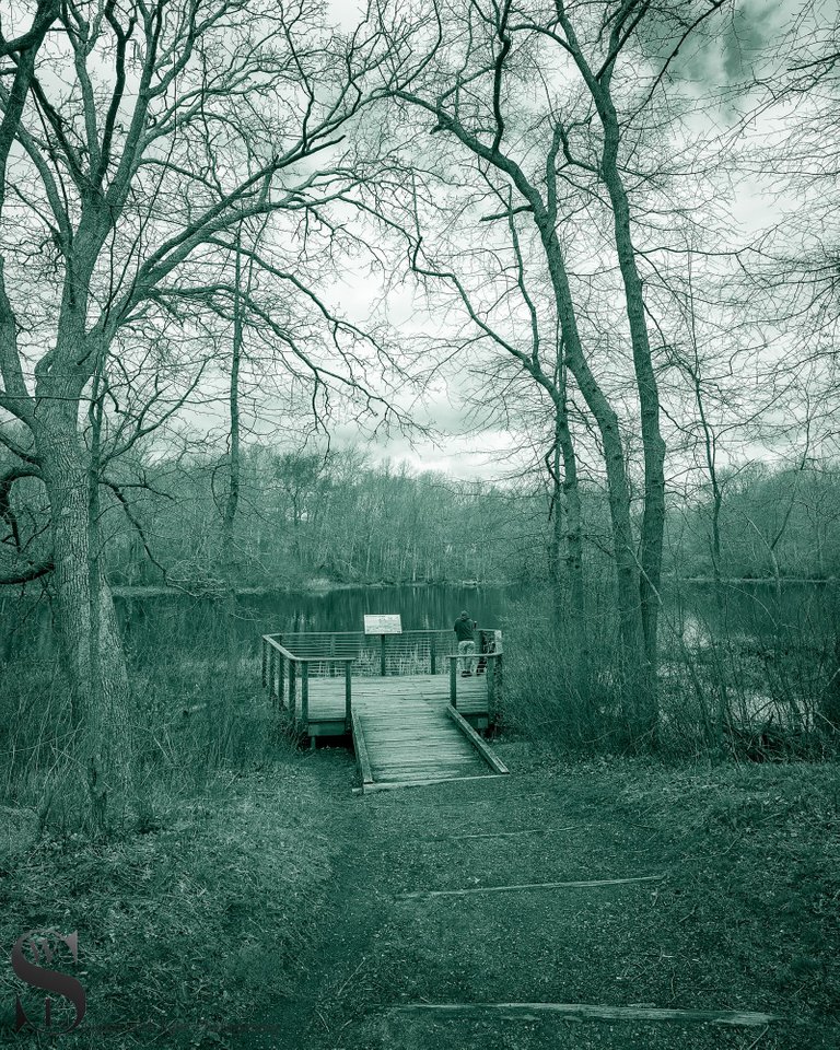 trail walk in mono.jpg