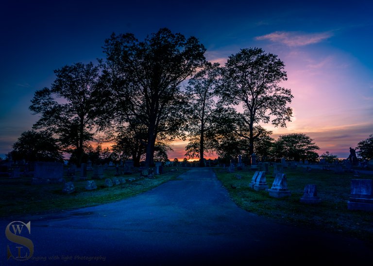 WW Evening walks in Cemetery_5.jpg