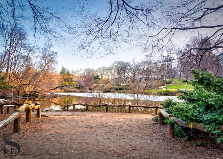 1 1 Ww central Park4.jpg