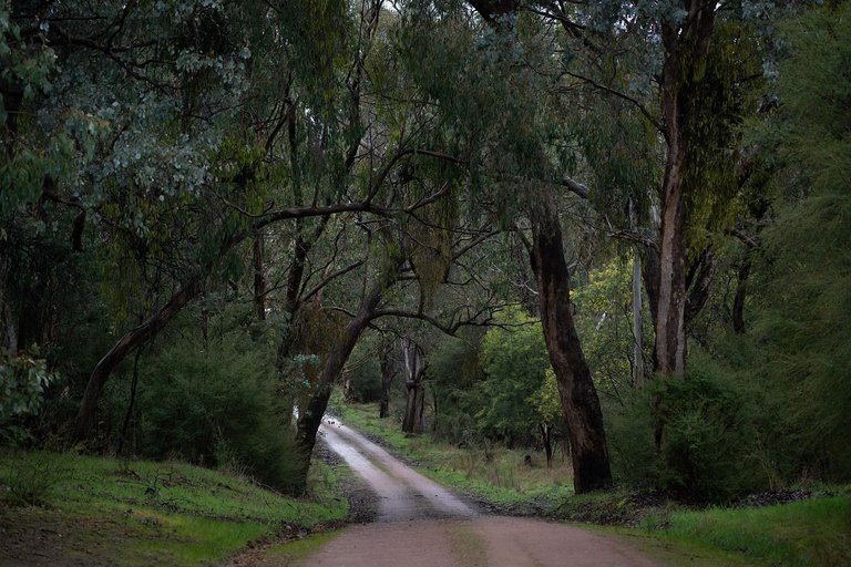 road-8205773_1280.jpg
