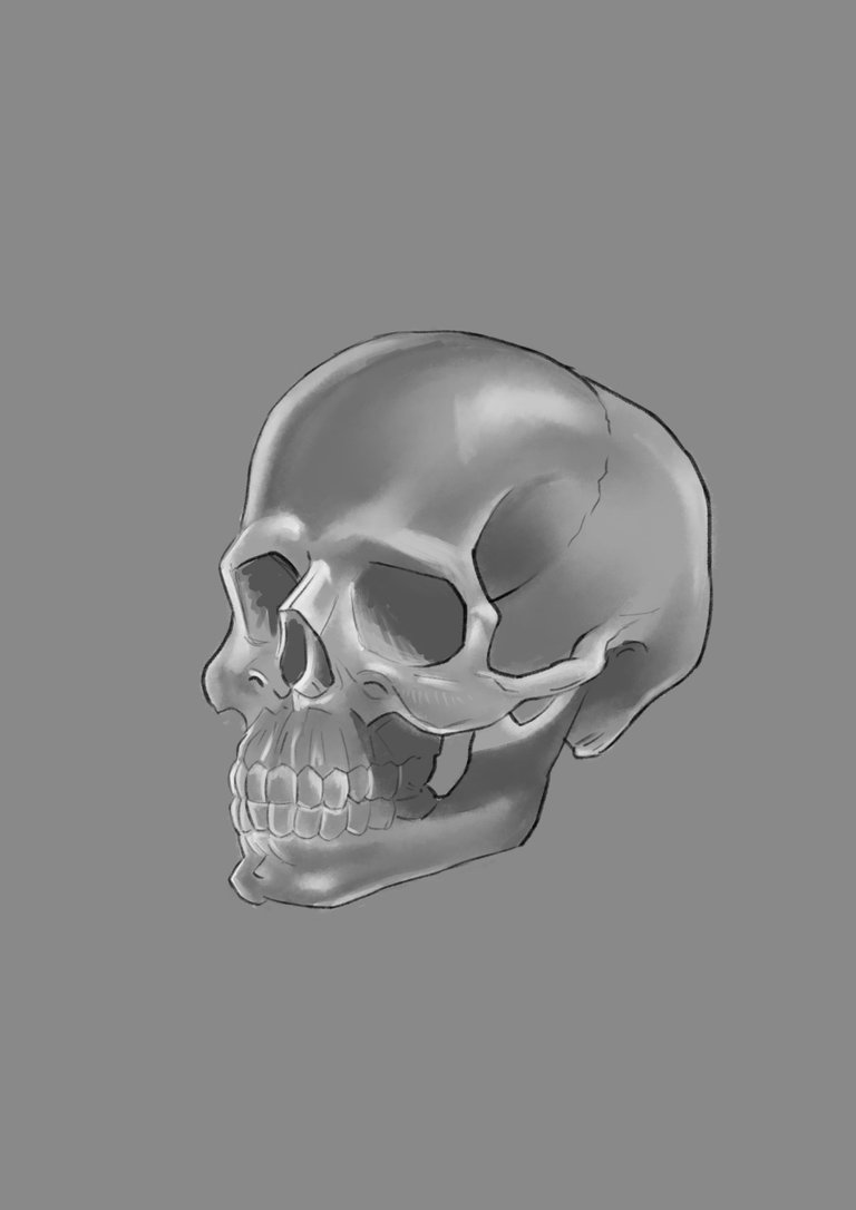 skull  pic 6.jpg