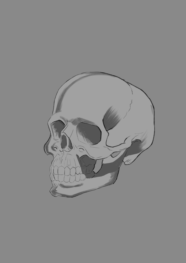 skull pic 3.jpg