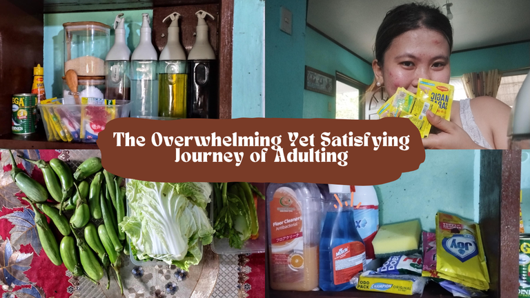 The Overwhelming Yet Satisfying Journey of Adulting!