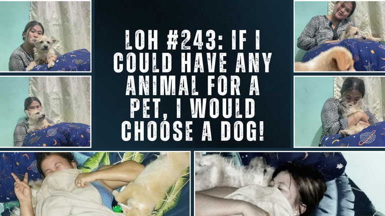 LOH #243: If I Could Have Any Animal for a Pet, I Would Choose a Dog!