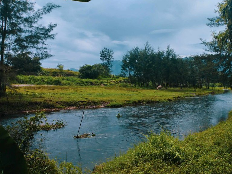 ilog 1.jpg