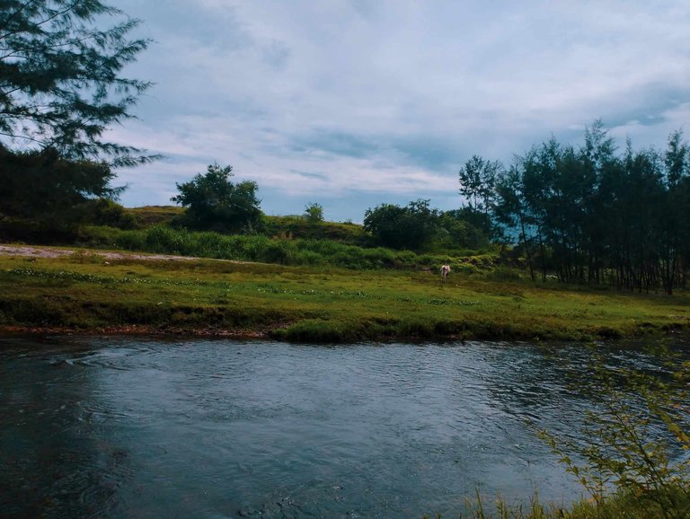 ilog 2.jpg