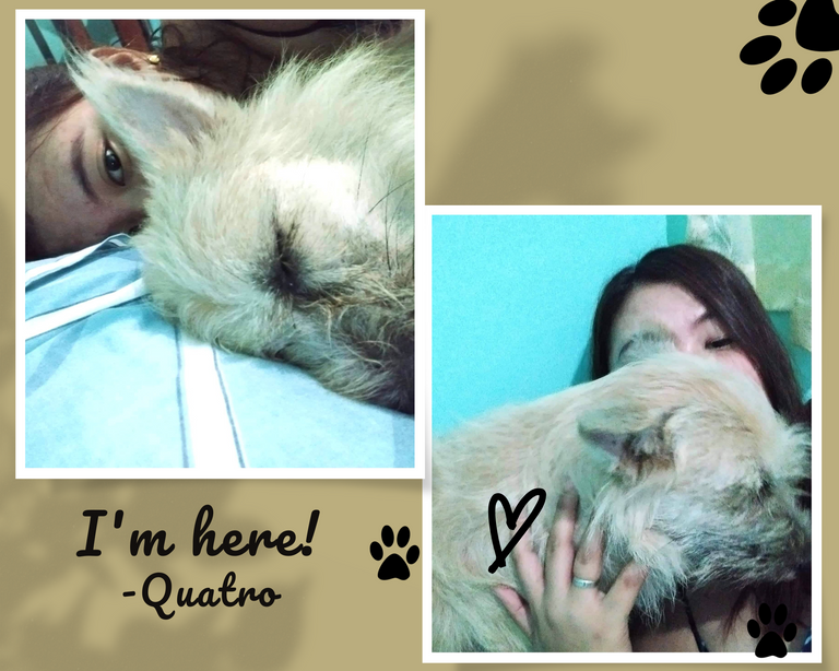 My Quatro (3).png