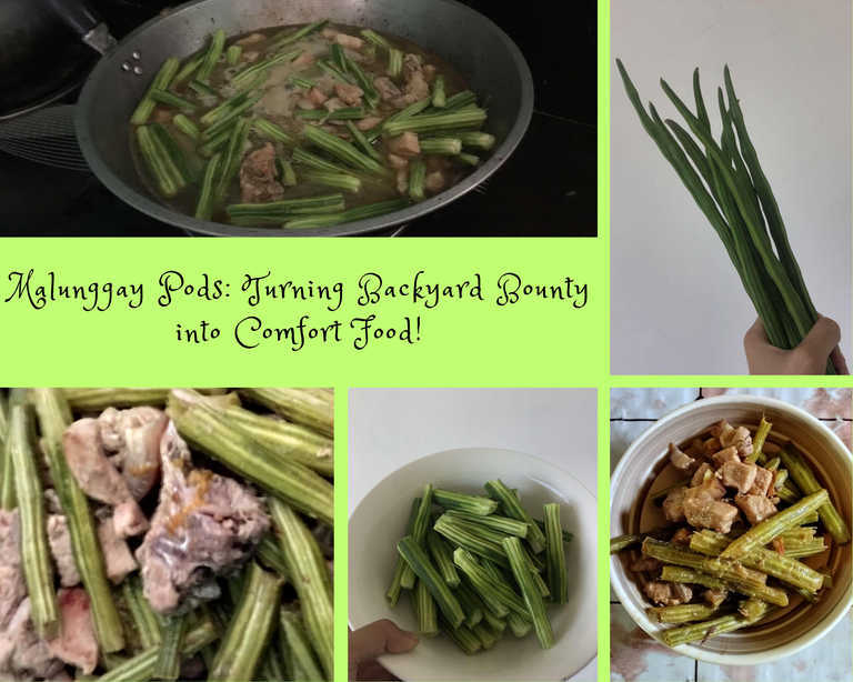 Malunggay Pods: Turning Backyard Bounty into Comfort Food!