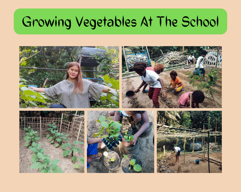 Growing Vegetables At The School.png