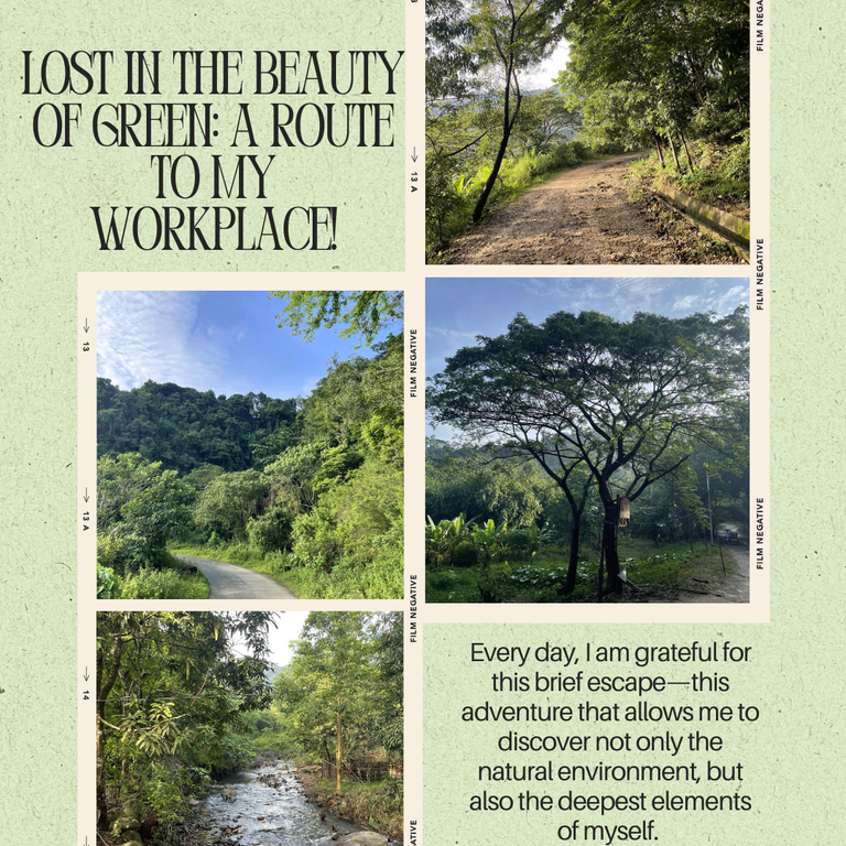Lost in the Beauty of Green: A Route to My Workplace!