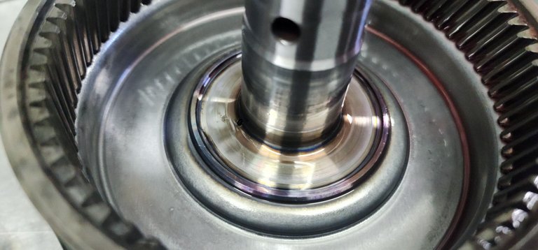 20250811_115155.jpg