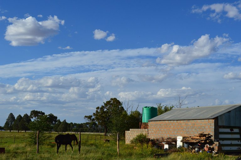 DSC_1363.JPG