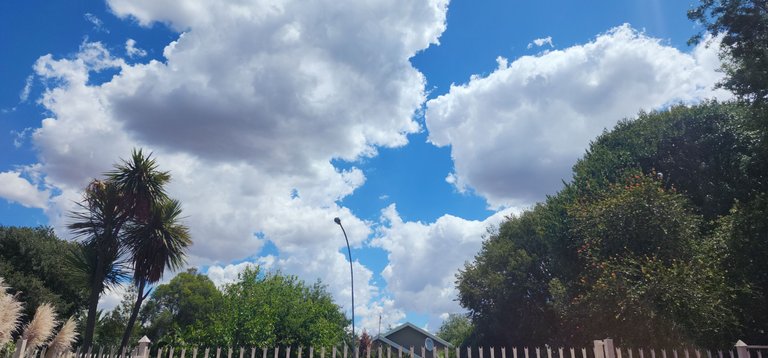 20250223_131628.jpg