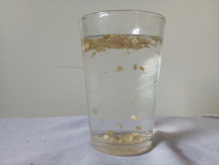 baso de agua.jpg