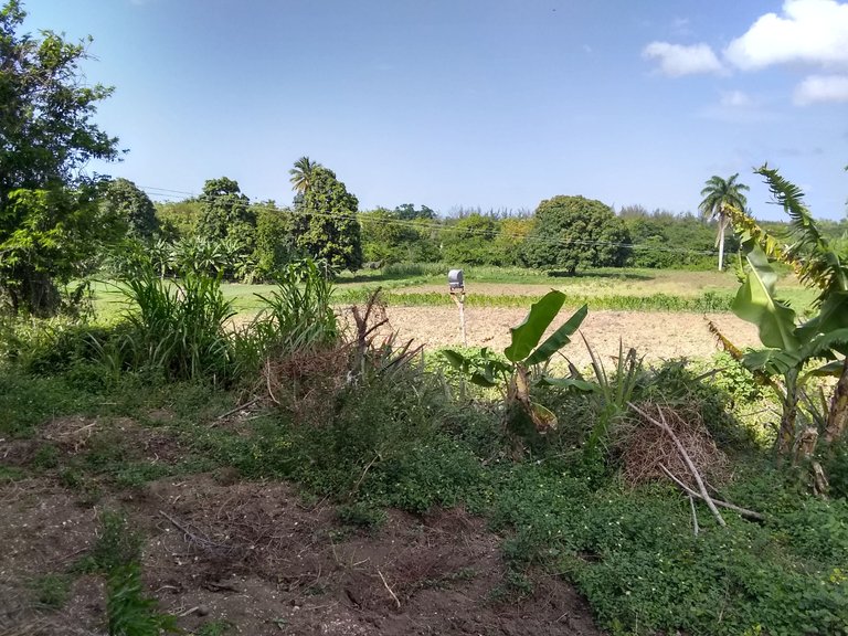 Panoramica general de la finca.jpg