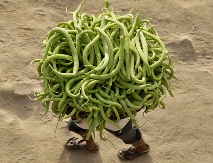 Top10RareandUnusualCucumbers2.jpg