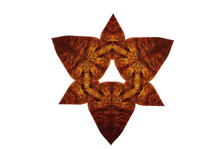23tv8hMShy8taWhQcWs2bsAEKBACPReYBmo9fqNtywTt1DNDxjE7tCwGbRtHcpYWDjZYn.png