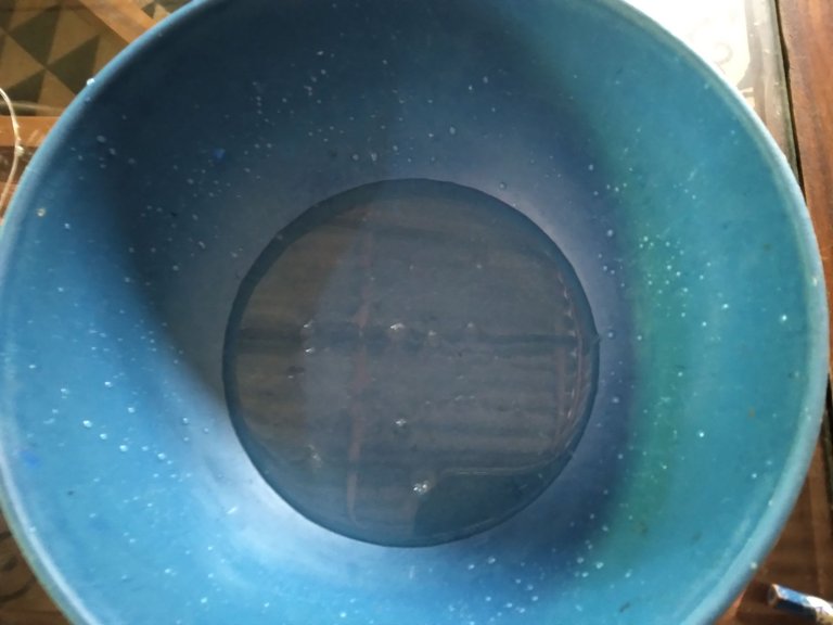 20250408_102657.jpg