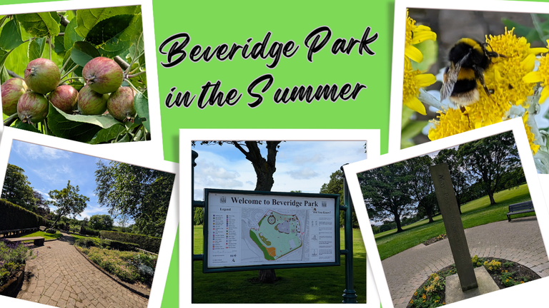 Beveridge Park, Scotland in Summer Time