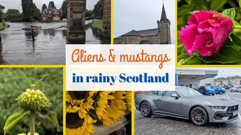 Aliens Turks and Mustangs ~ a Fun walk in the Scottish rain
