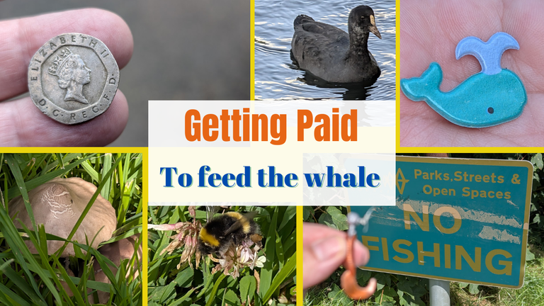 Getting paid to feed the whale