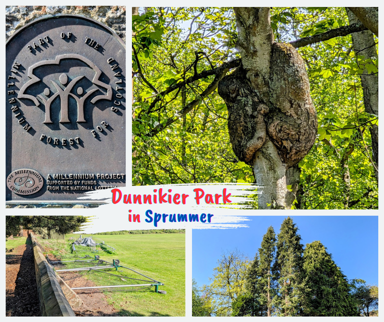 Cricket Sticks & Stumps in Dunnikier country park in Kirkcaldy Scotland
