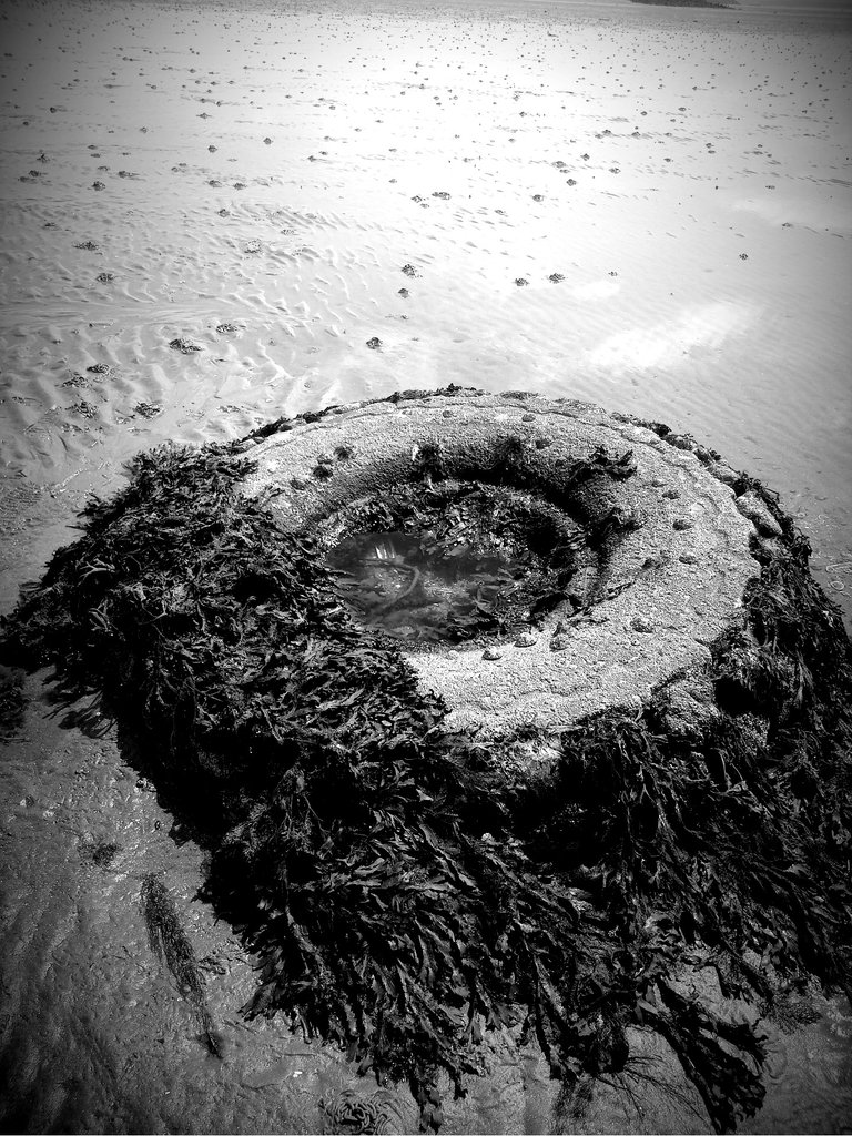 BandW tyre on Burntisland beach.jpg