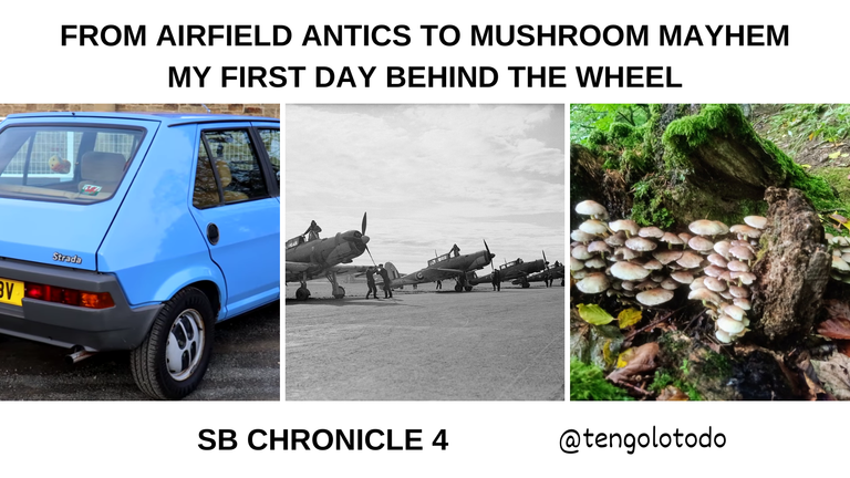 From Airfield Antics to Mushroom Mayhem: My First Day Behind the Wheel ~ SB Chronicle 4