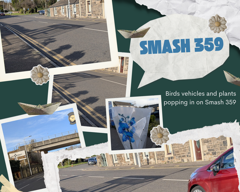 Birds vehicles and plants popping in on Smash 359.png