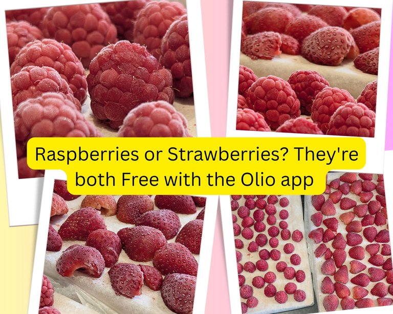 Rasps or Strawbs.png