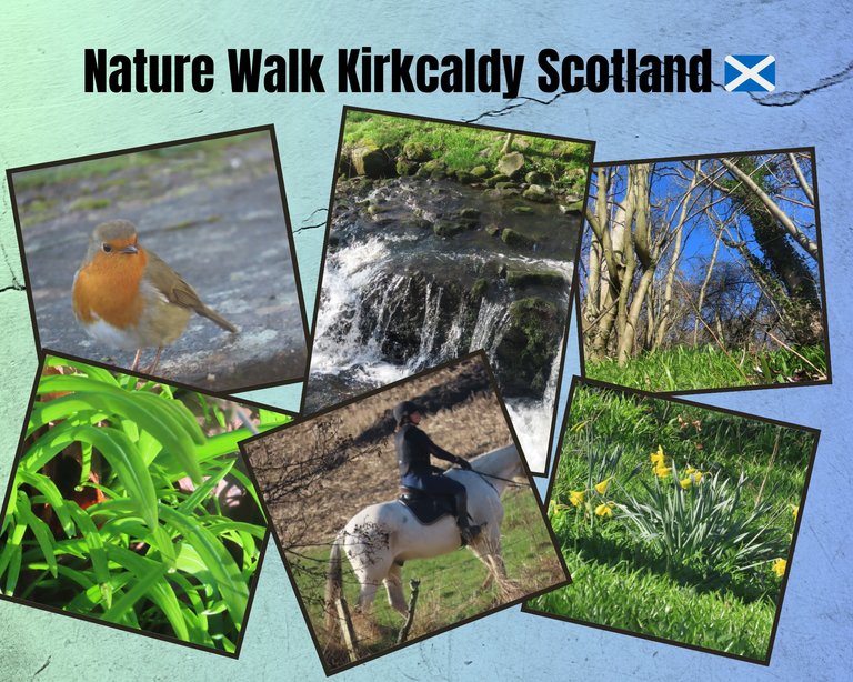Nature Walk Kirkcaldy Scotland 🏴______ .png