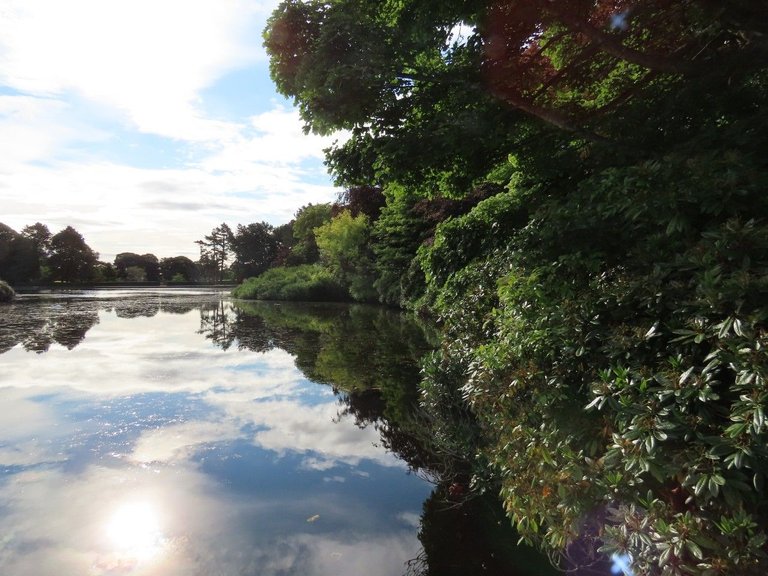 Park reflection.jpg