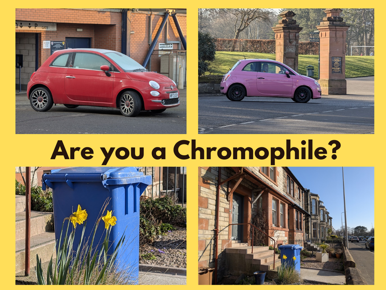 Colours everywhere ~ Are you a Chromophile?