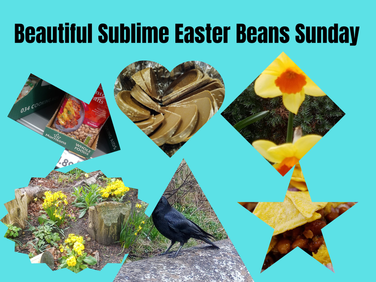Beautiful Sublime Easter Beans Sunday.png